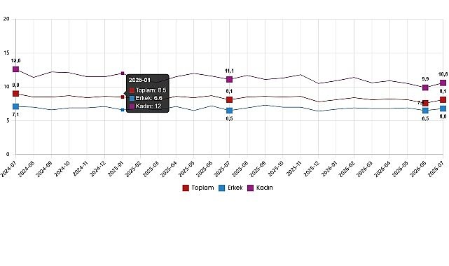 İşgücü İstatistikleri, Temmuz 2026