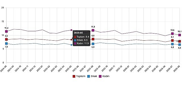 İşgücü İstatistikleri, Ağustos 2026