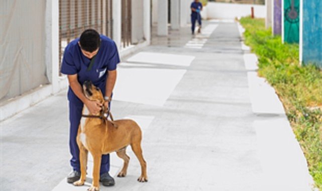 4 Ekim Hayvanları Koruma Günü
