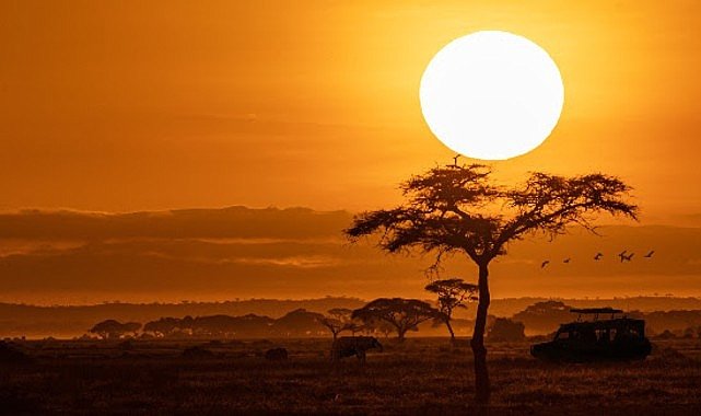 National Geographic NOW Seç-İzle Servisinin Ekim Ayı Teması ‘Afrika’!